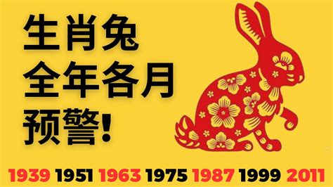 屬兔流年|屬兔2024年運勢指南：流年大吉，把握桃花運 